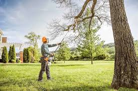 Best Arborist Consultation Services  in Port Townsend, WA