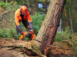 Soil Testing and Treatment in Port Townsend, WA