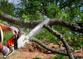 Best Seasonal Cleanup (Spring/Fall)  in Port Townsend, WA